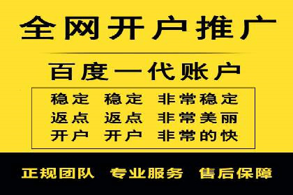 竞价代运营的转化率提升：某行业领先企业的秘诀